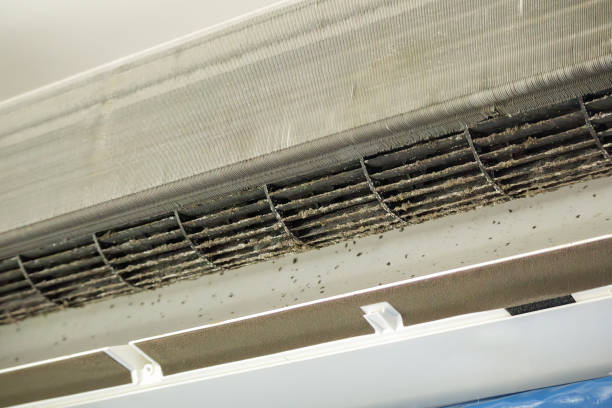 Best Air Duct Cleaning Near Me  in Middletown, NY